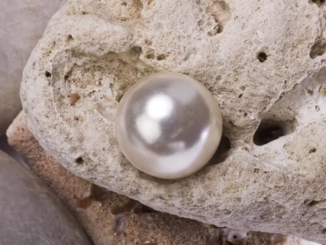 A pearl forms when a tiny irritant, like a grain of sand, gets inside an oyster.